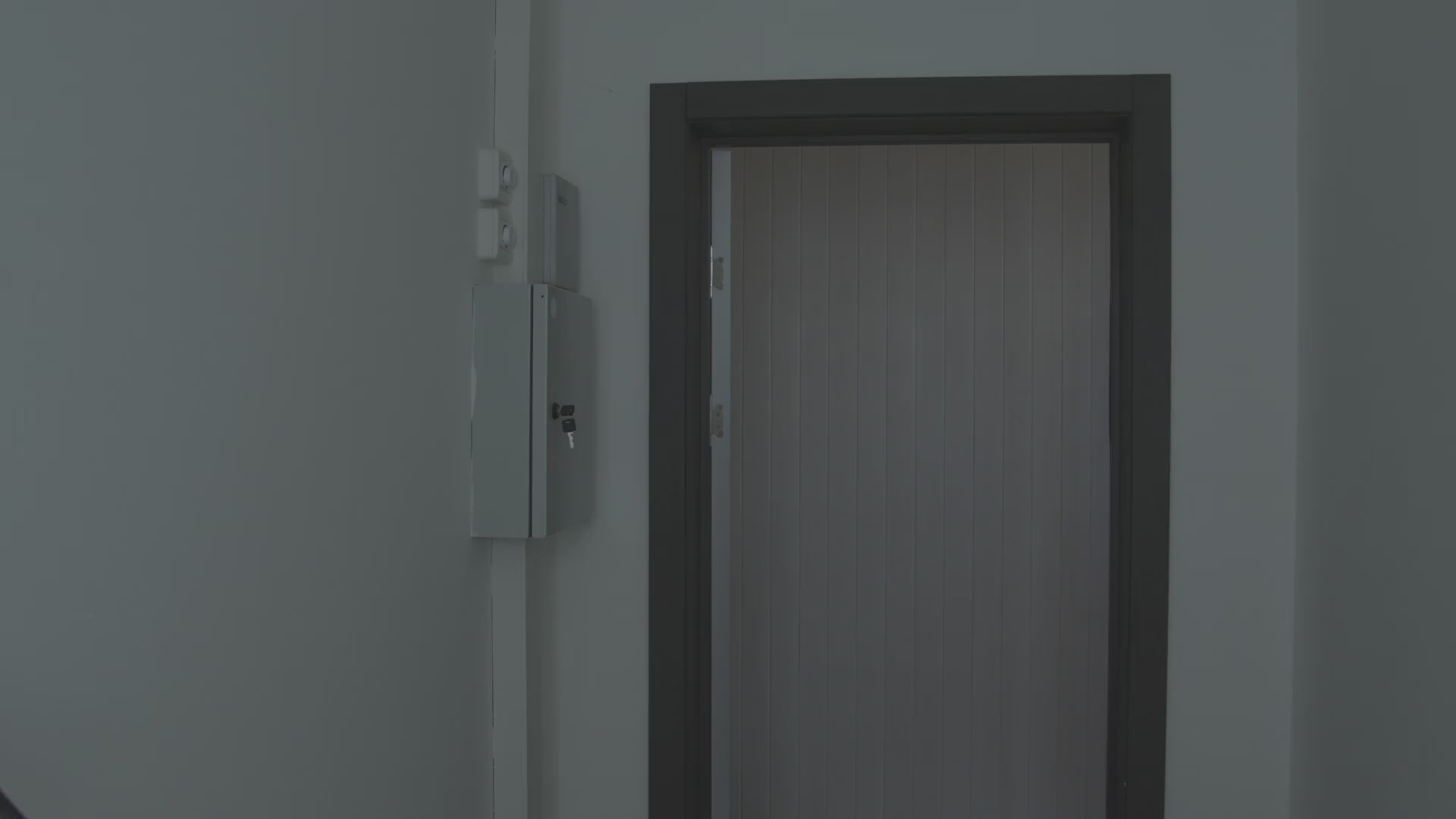 Woman in the dark with a flashlight opening her circuit breaker panel